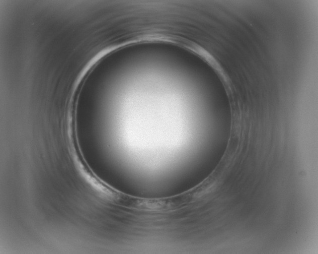 X0000082150955200702021631