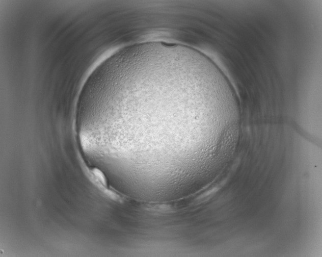 X0000082150957200702021631