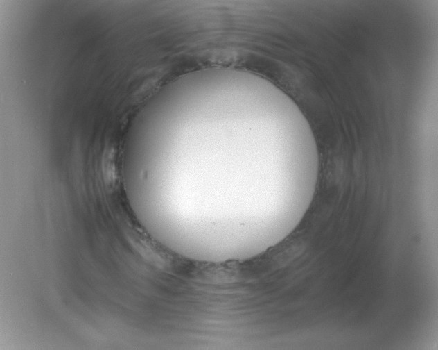 X0000082150962200702021631