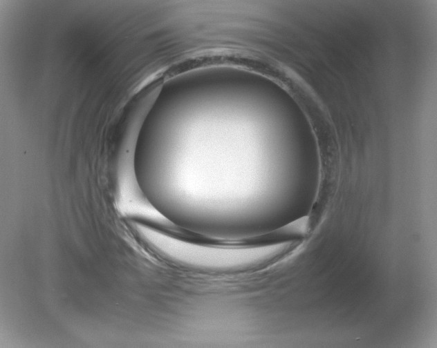 X0000082150969200702021631