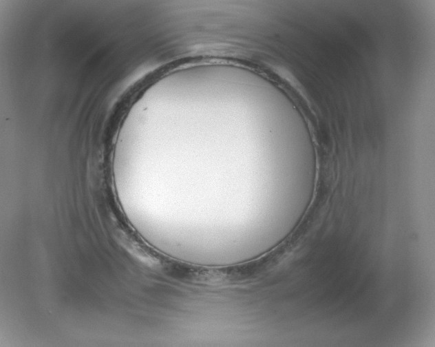 X0000082150971200702021631