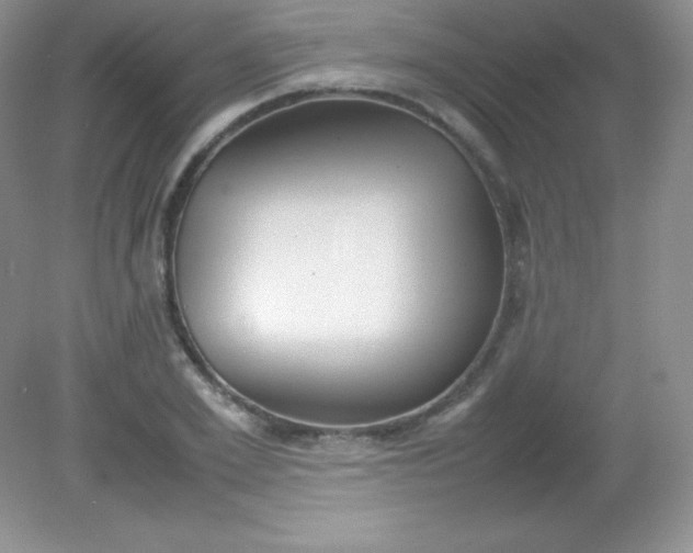 X0000082150981200702021630