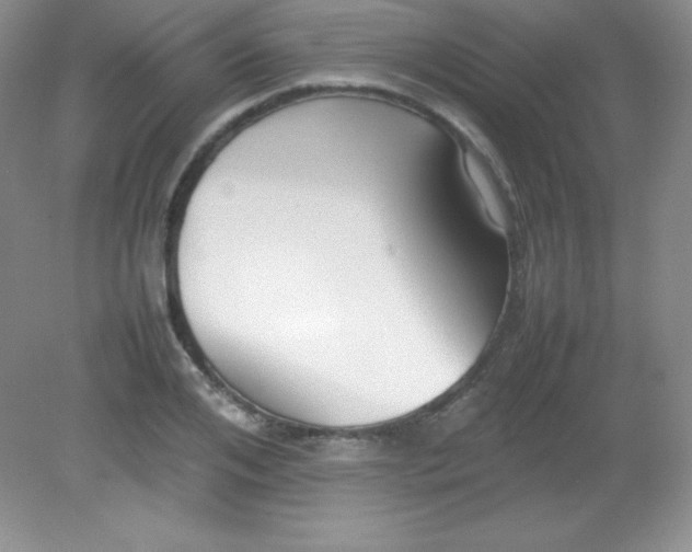 X0000082150984200702021630