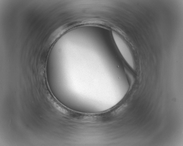 X0000082150985200702021630
