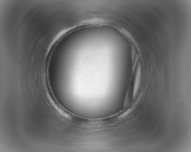 X0000082150989200702021630