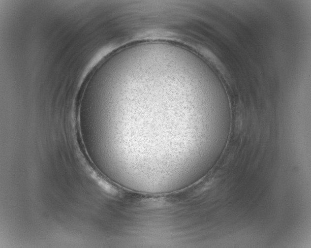 X0000082150990200702021630