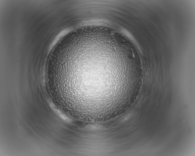 X0000082150994200702021630