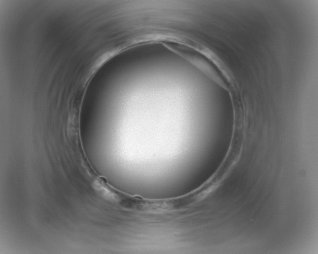 X0000082151001200702021630