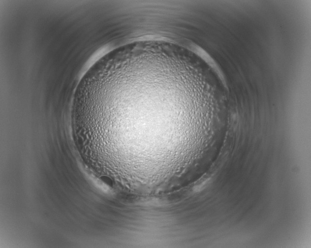 X0000082151002200702021630