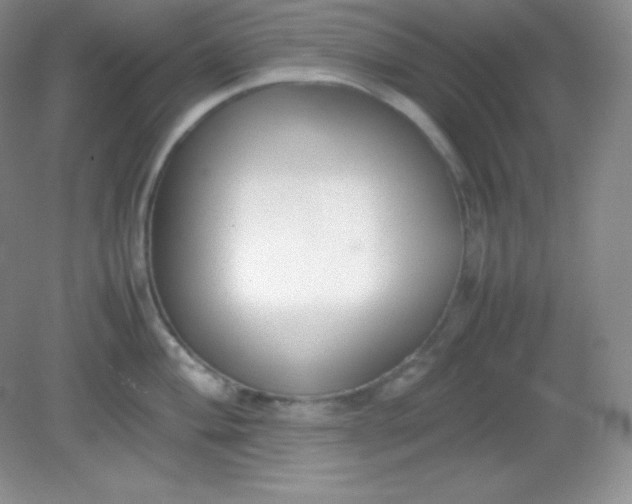 X0000082151004200702021630