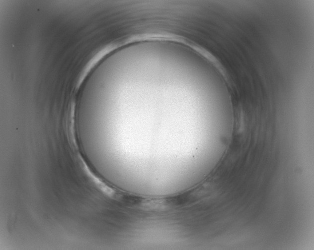 X0000082151006200702021630