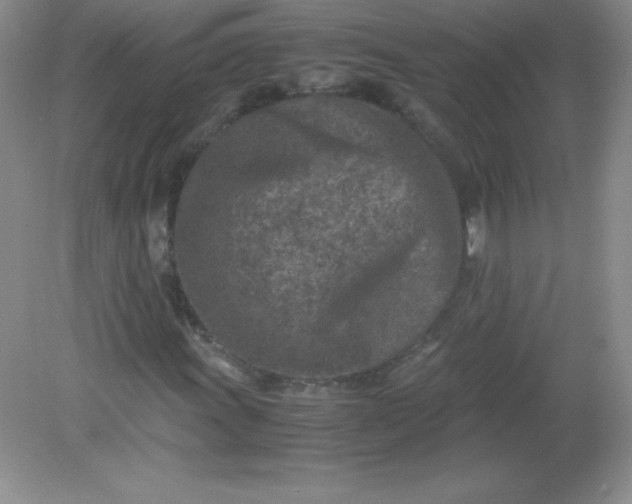 X0000082151011200702021629