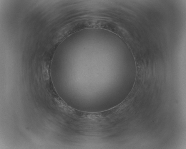 X0000082151013200702021629