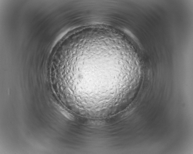 X0000082151023200702021629
