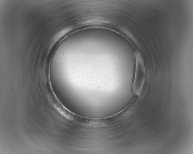 X0000082151026200702021629