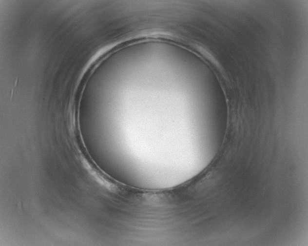 X0000082151032200702021630