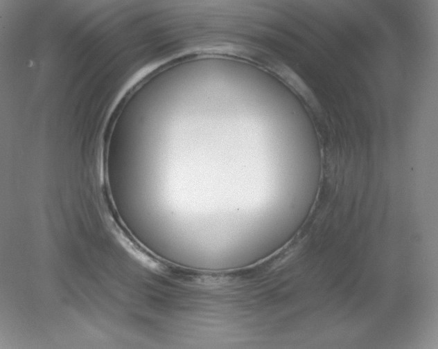 X0000082151036200702021630