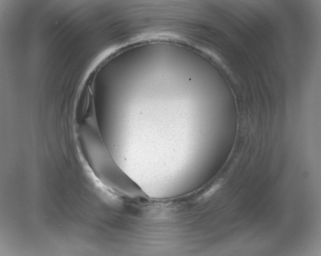 X0000082151038200702021630