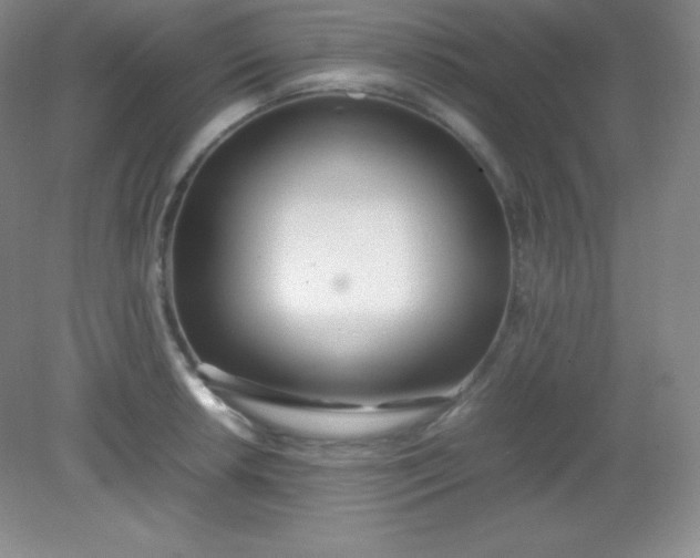 X0000082151042200702021630