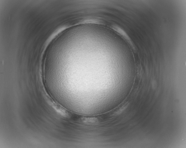 X0000082151043200702021630