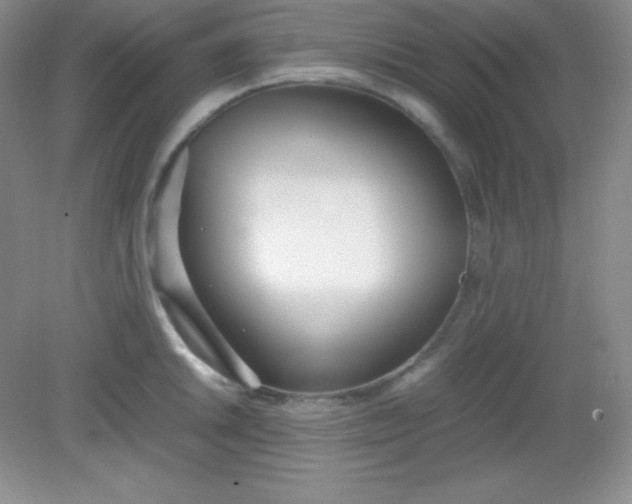 X0000082151046200702021630