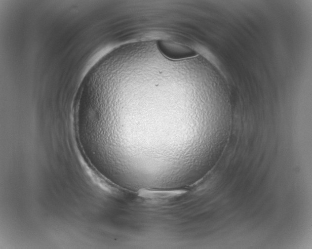 X0000082151047200702021630