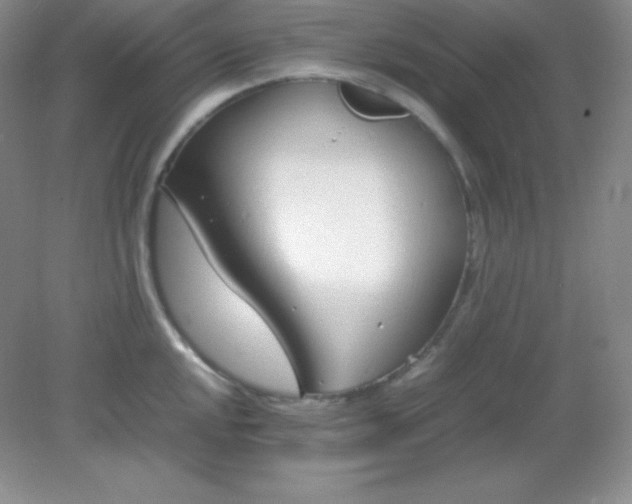 X0000082151048200702021630