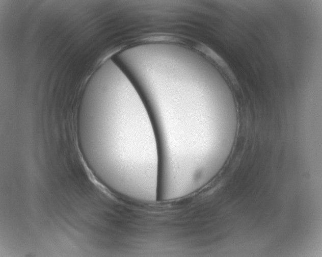 X0000082151049200702021630