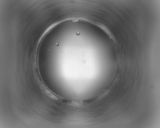 X0000082151052200702021630