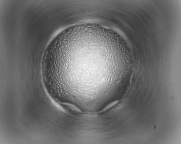 X0000082151055200702021630