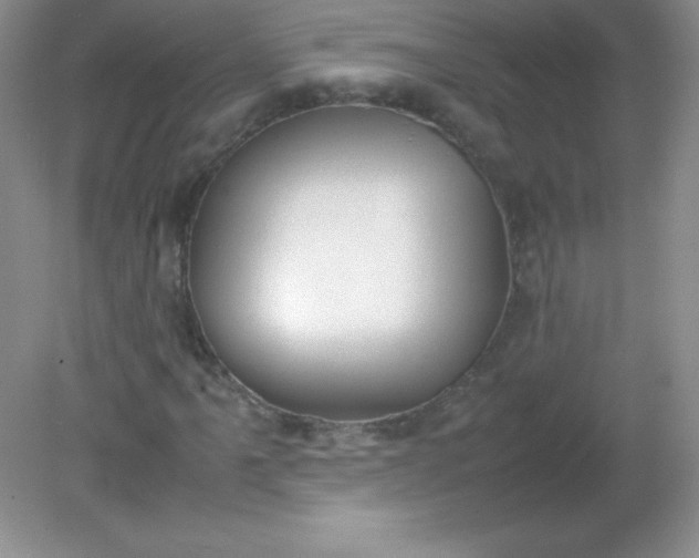 X0000082151061200702021629