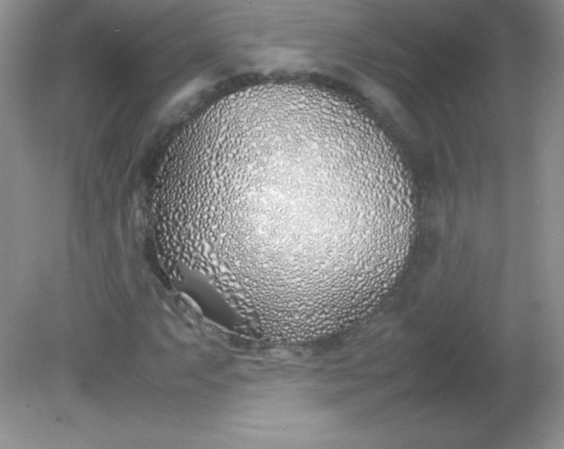 X0000082151063200702021629