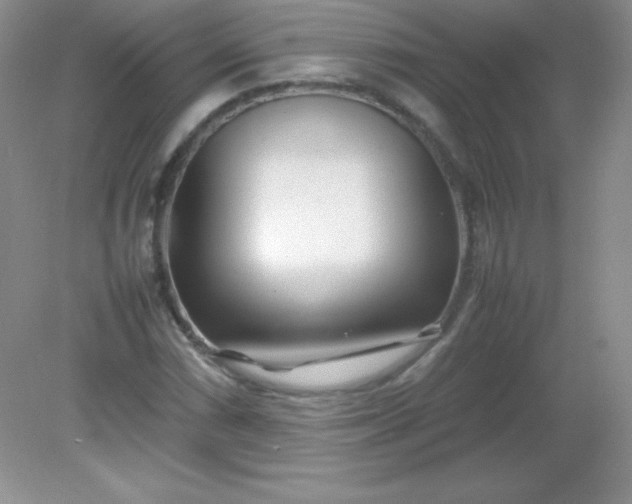 X0000082151066200702021629