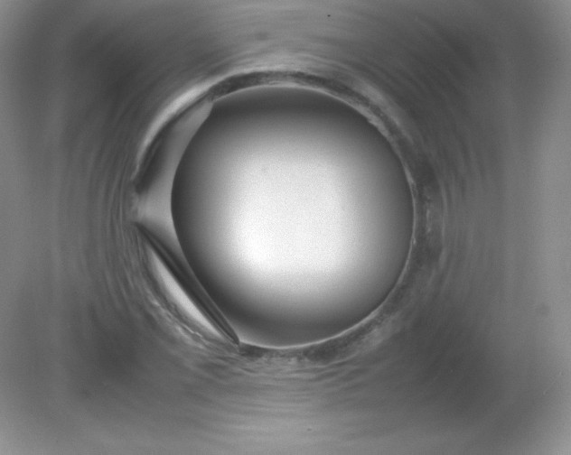 X0000082151069200702021629