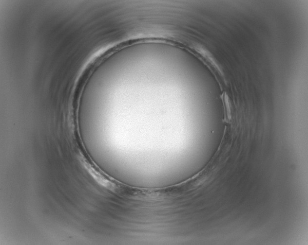 X0000082151072200702021629
