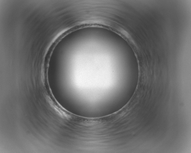 X0000082151076200702021629