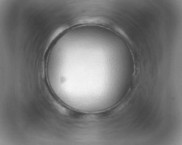 X0000082151079200702021629