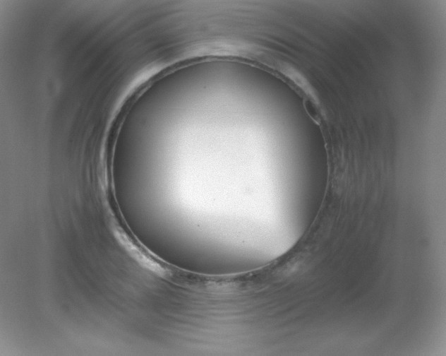 X0000082151080200702021629
