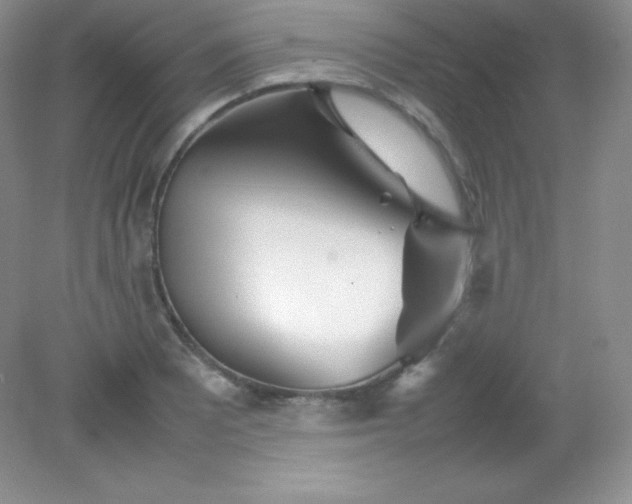 X0000082151081200702021629