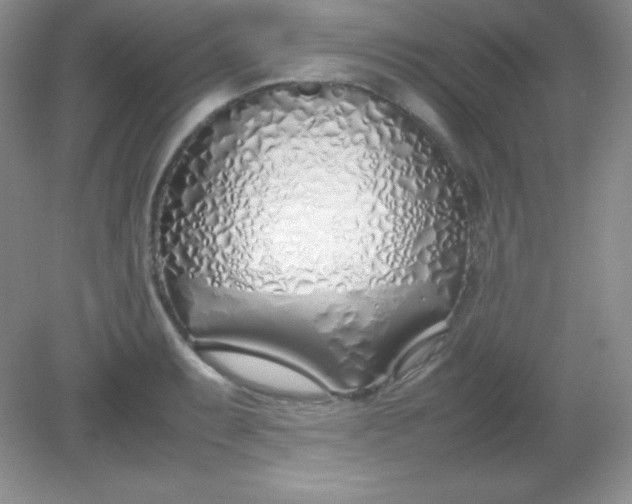 X0000082151087200702021629
