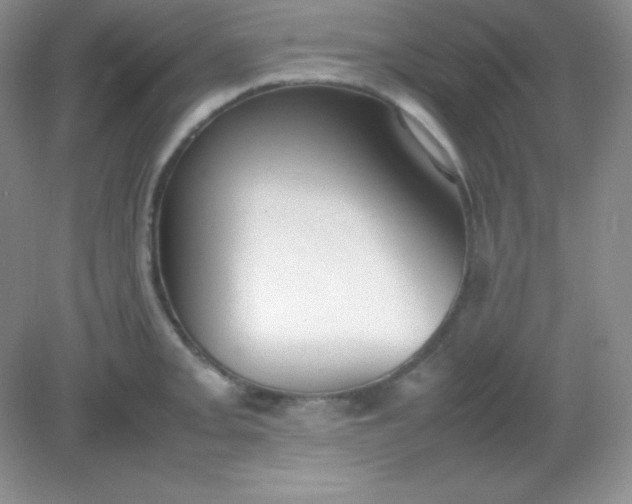 X0000082151093200702021629