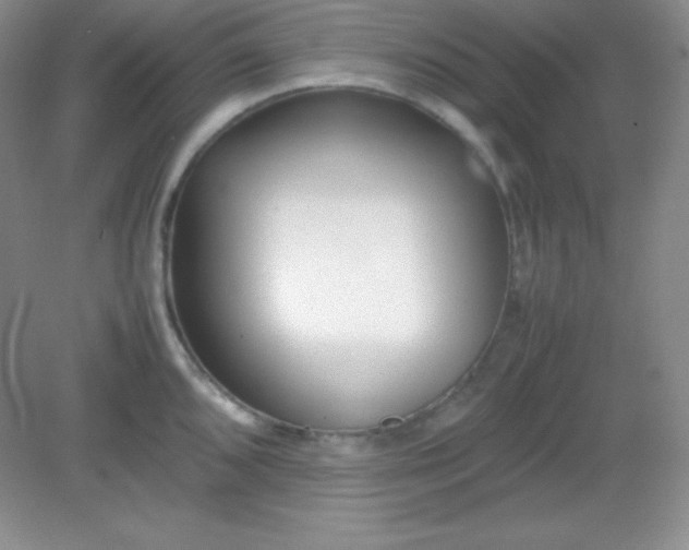 X0000082151096200702021628