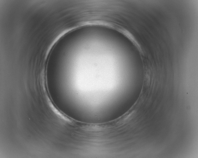 X0000082151100200702021628