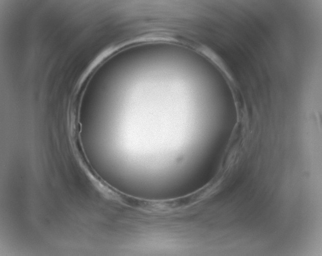 X0000082151101200702021628