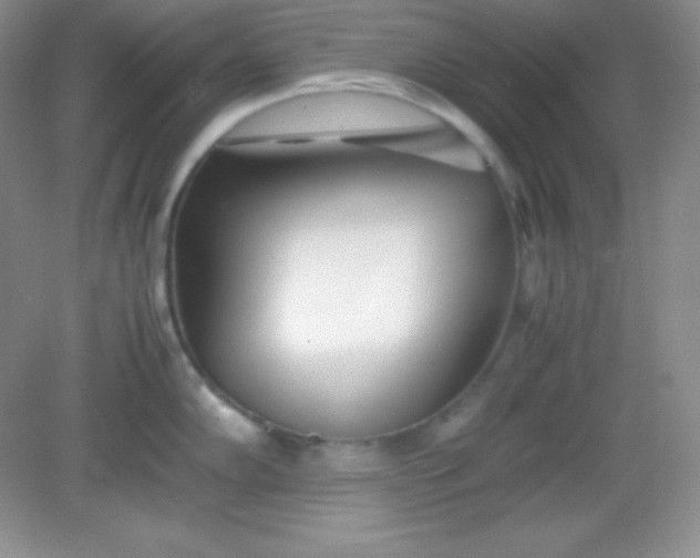 X0000082151102200702021628
