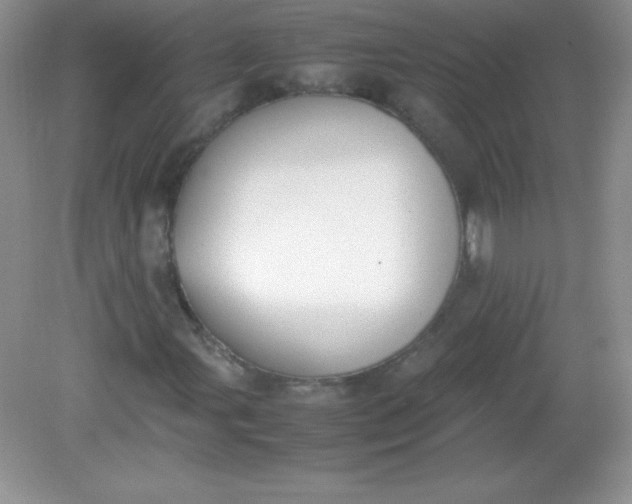 X0000082151107200702021628