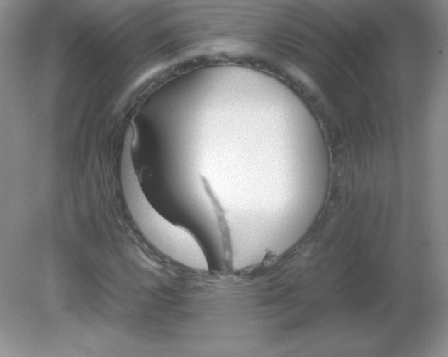 X0000082151112200702021628