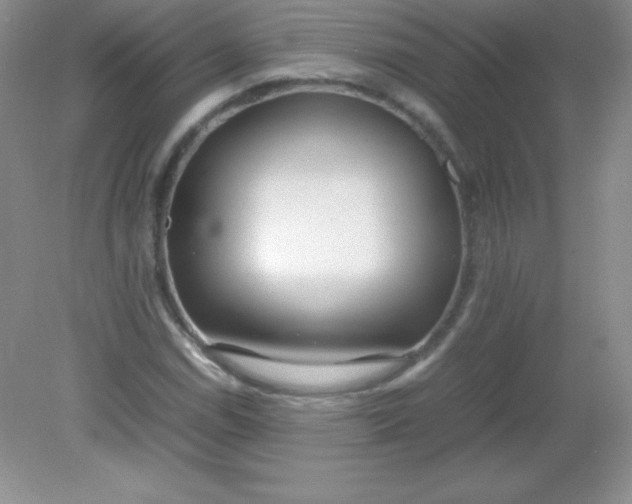 X0000082151114200702021628