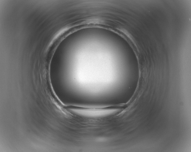 X0000082151115200702021628