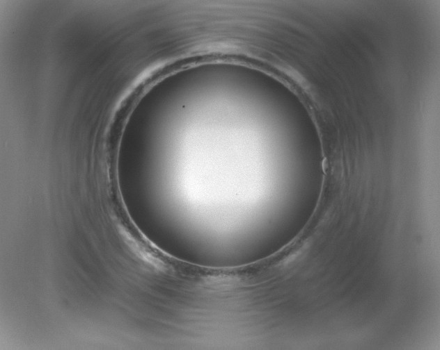 X0000082151118200702021628